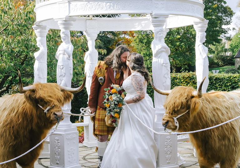 Bride and groom kissing beside two Harris Highlanders Highland cows at an outdoor wedding venue