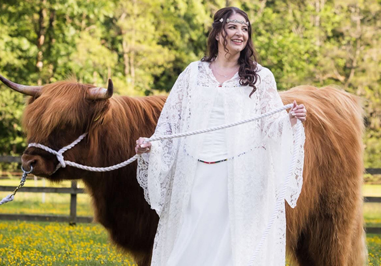 Bride in lace wedding dress with Harris Highlanders Highland cow in a countryside setting