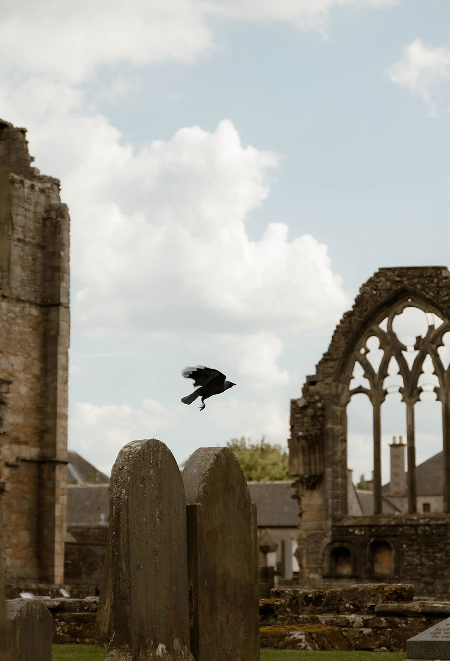 a crow flying over a gravestone with ruined church in background