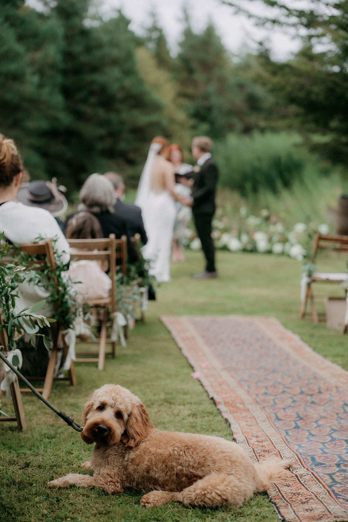 Dog lying beside outdoor wedding ceremony aisle with guests seated in garden setting