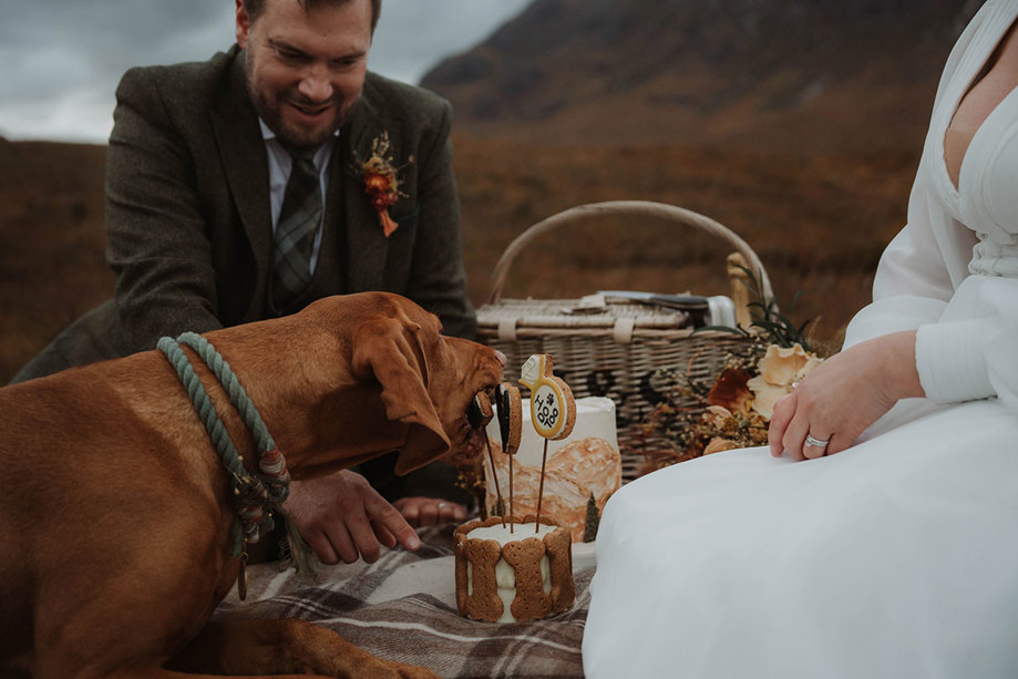 a dog eating a cake made out of dog biscuits with a bride and groom looking on