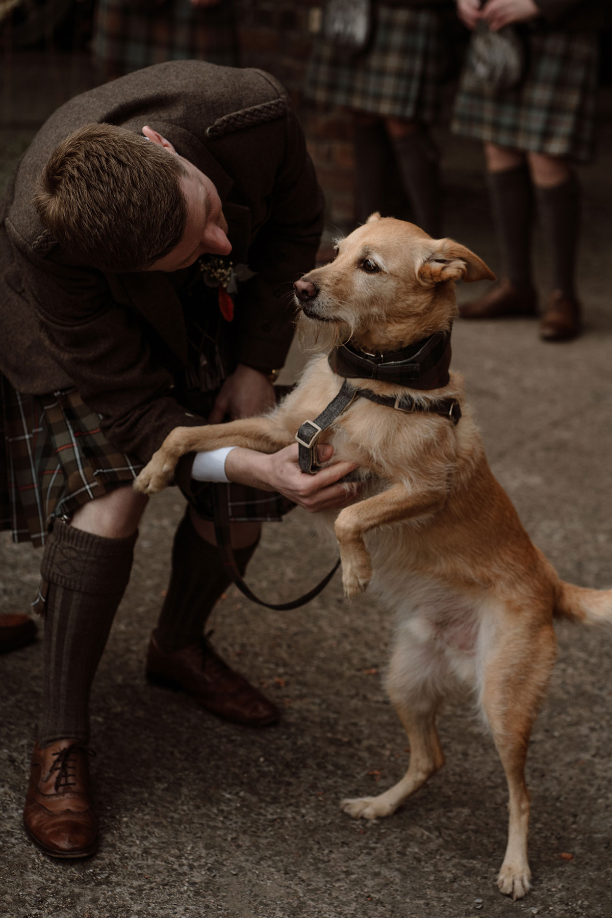 Wedding guest greets the couple’s dog, who wears a tartan bandana, during the celebrations at an industrial wedding venue