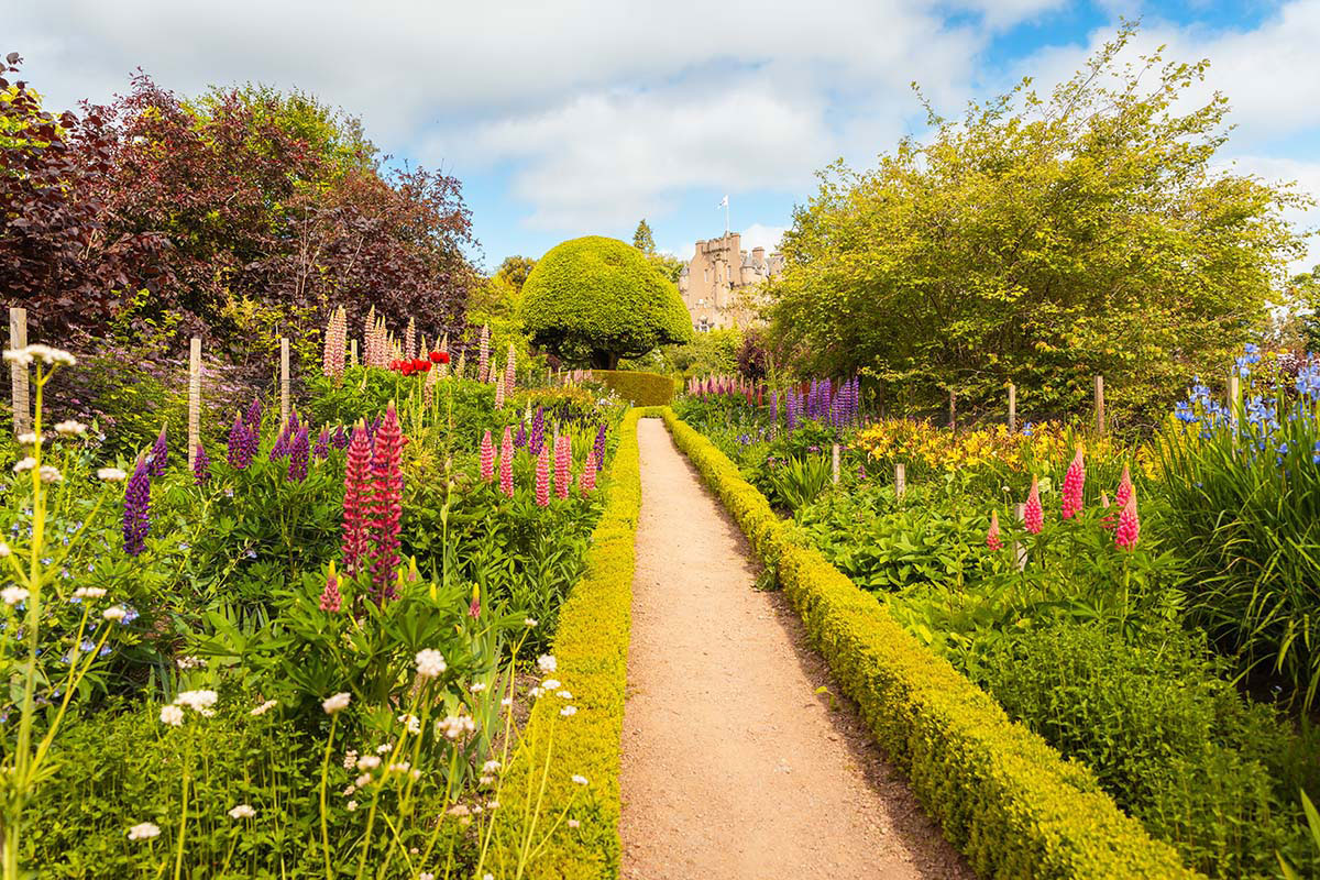Vibrant formal garden with colourful flowers, trimmed hedges, and a view of castle in the distance