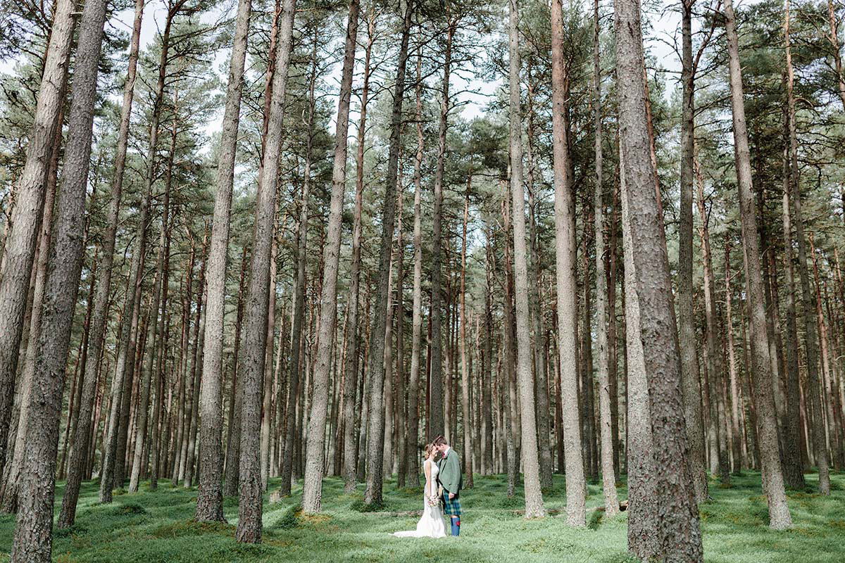 Bride and groom standing close together among tall pine trees in a forest clearing