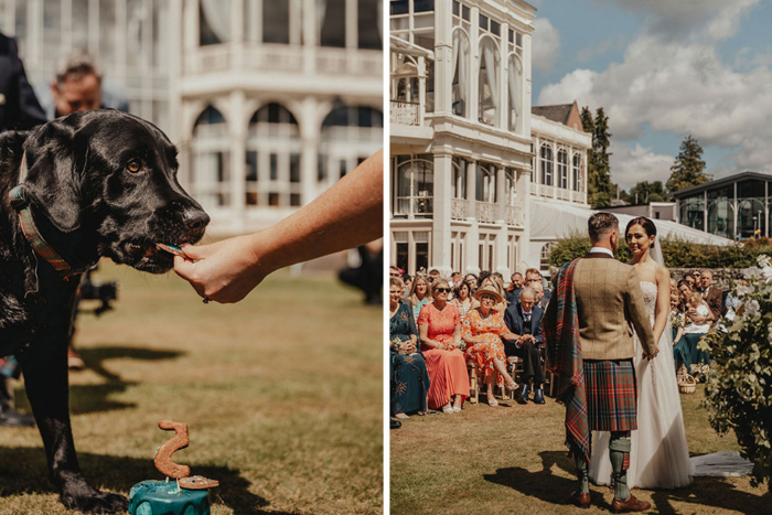 Couple's dog with birthday cake and couple holding hands during their ceremony