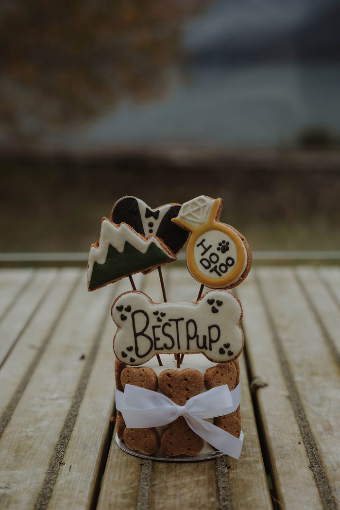 dog treats and biscuits styled into a cake