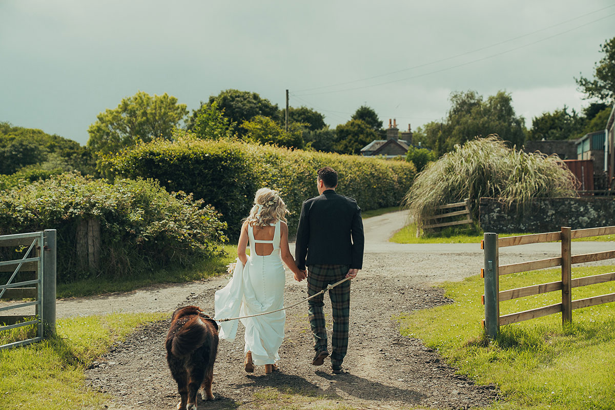 Bride and groom walk away hand in hand along a country path with their Bernese mountain dog on a lead, surrounded by greenery and hedges