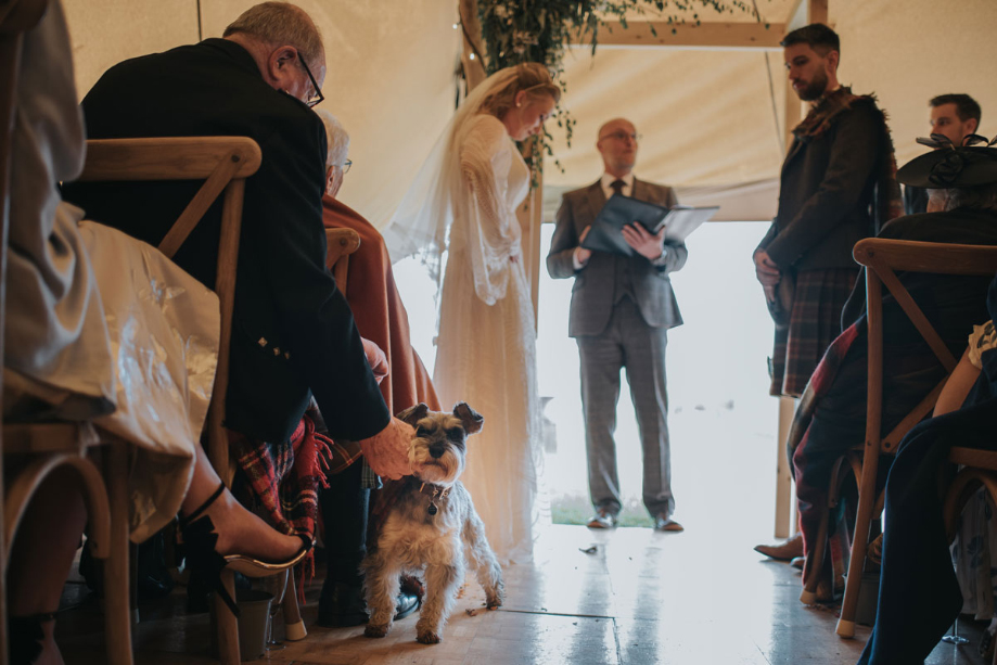 Guest pets couples dog during ceremony
