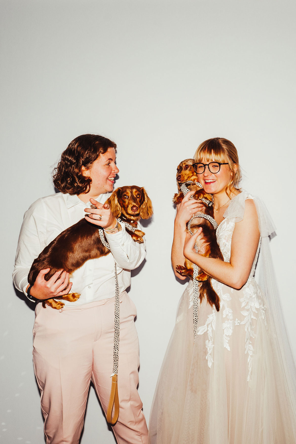 Two brides posing with their dachshunds against a plain white backdrop, smiling and holding the dogs in matching harnesses.