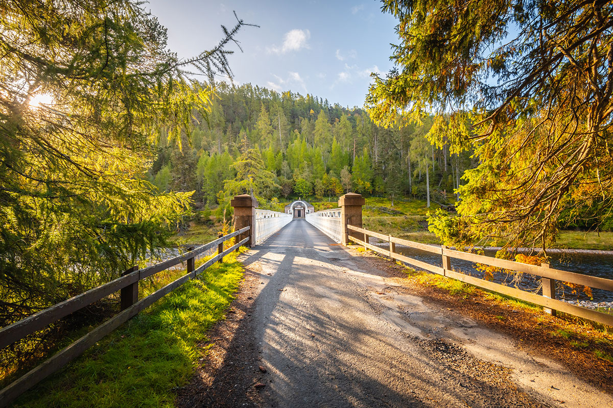 A tree-lined footbridge leading across a river towards a small lodge-style structure, set within dense woodland.