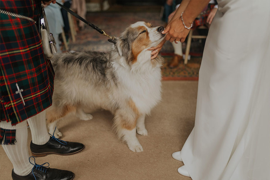 A dog closes its eyes as a woman pets its snout during a wedding ceremony