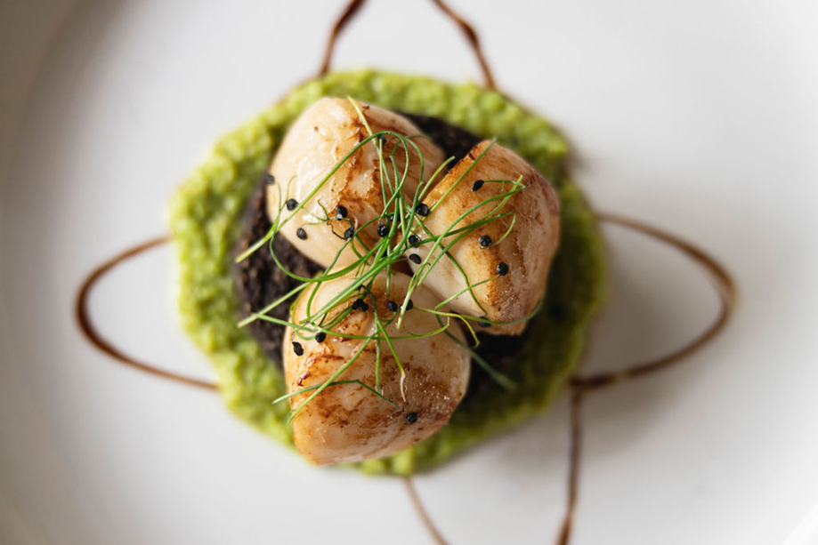 White plate with scallops and pea puree