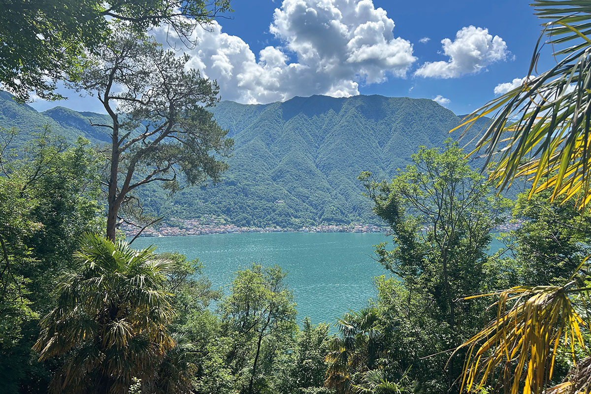 bird's eye view of Lake Como on a sunny day with trees and water in focus