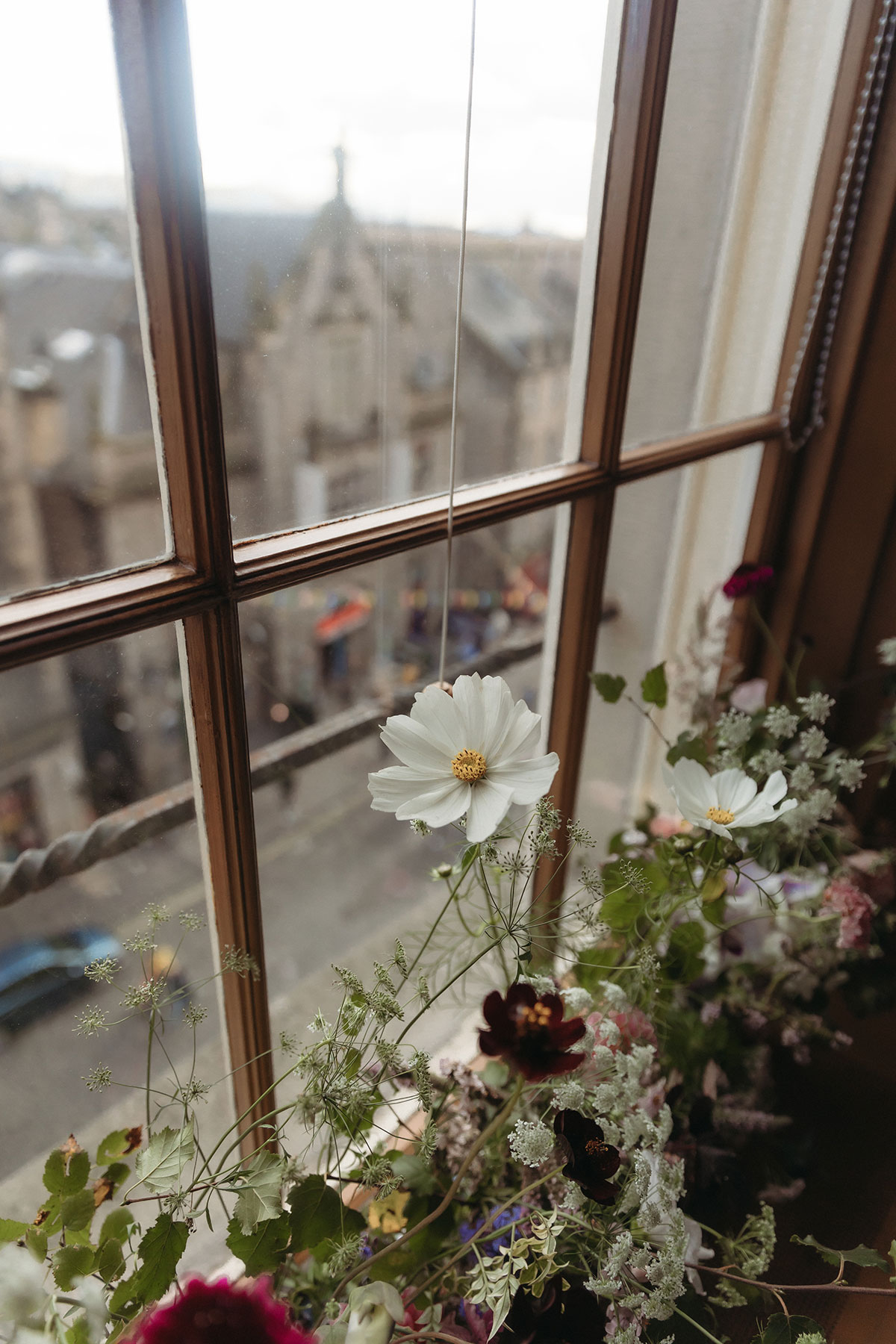 an arrangement of flowers in a window at Riddle's Court in Edinburgh