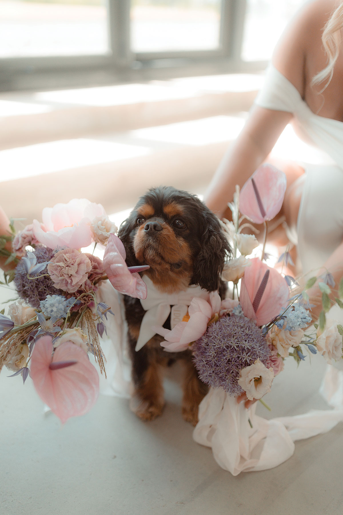 Wedding dog wearing floral collar with pastel pink and blue flowers at same-sex Falkirk farm wedding