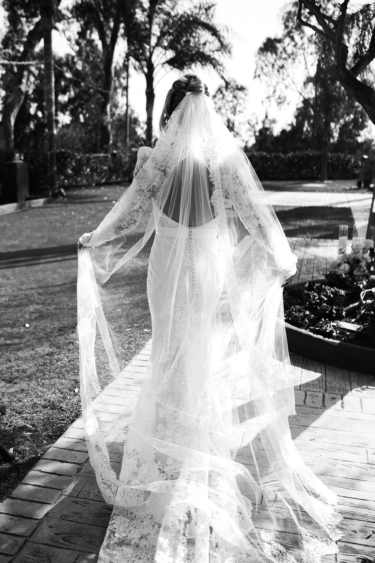 Back view of bride’s lace wedding dress and flowing veil captured in soft sunlight