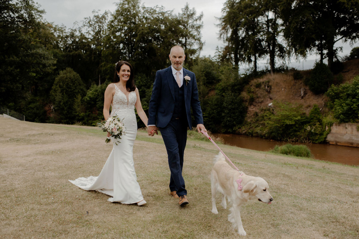 Bride and groom walk golden retriever while holding hands