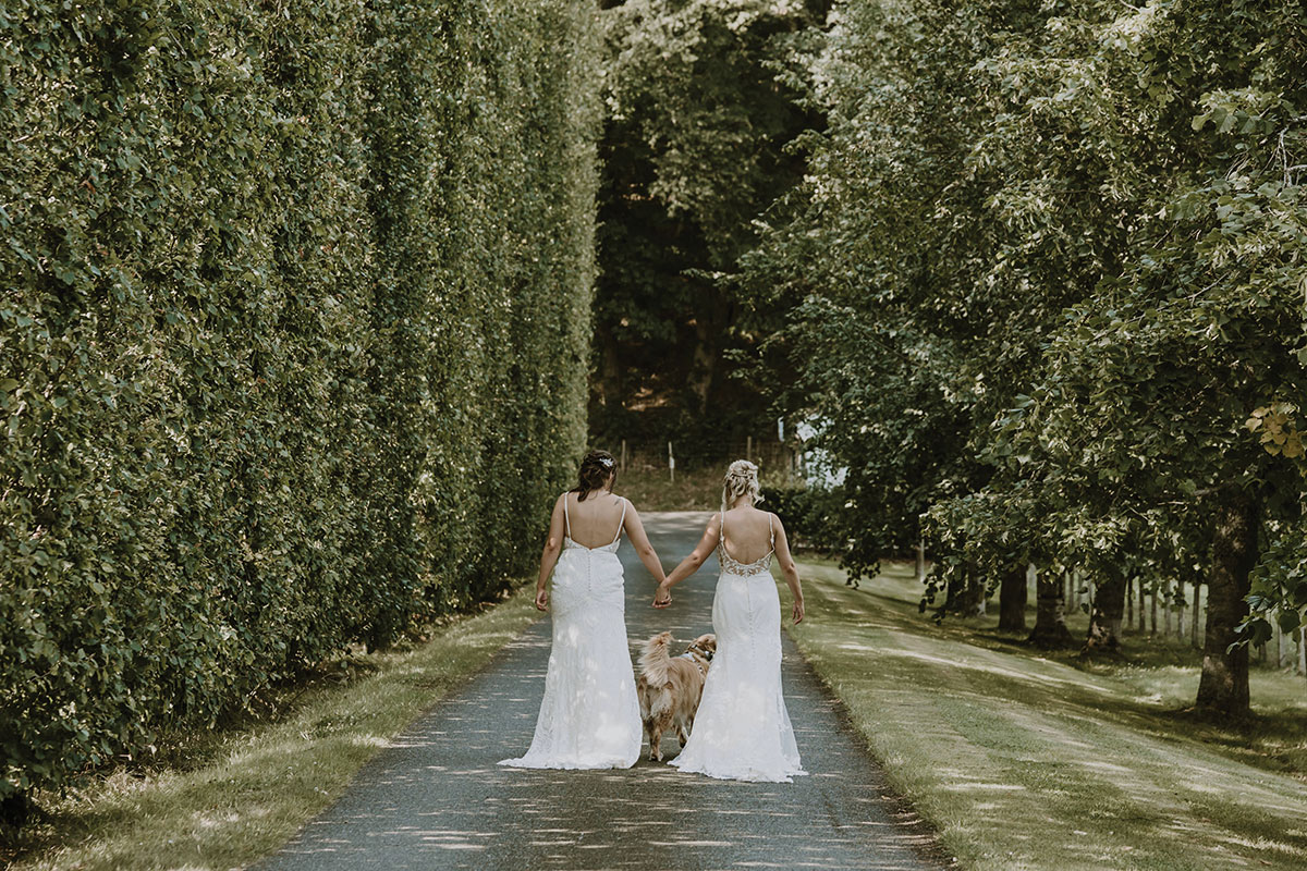 wo brides in white wedding dresses walking hand in hand with their dog along a tree-lined driveway at Aswanley in Aberdeenshire