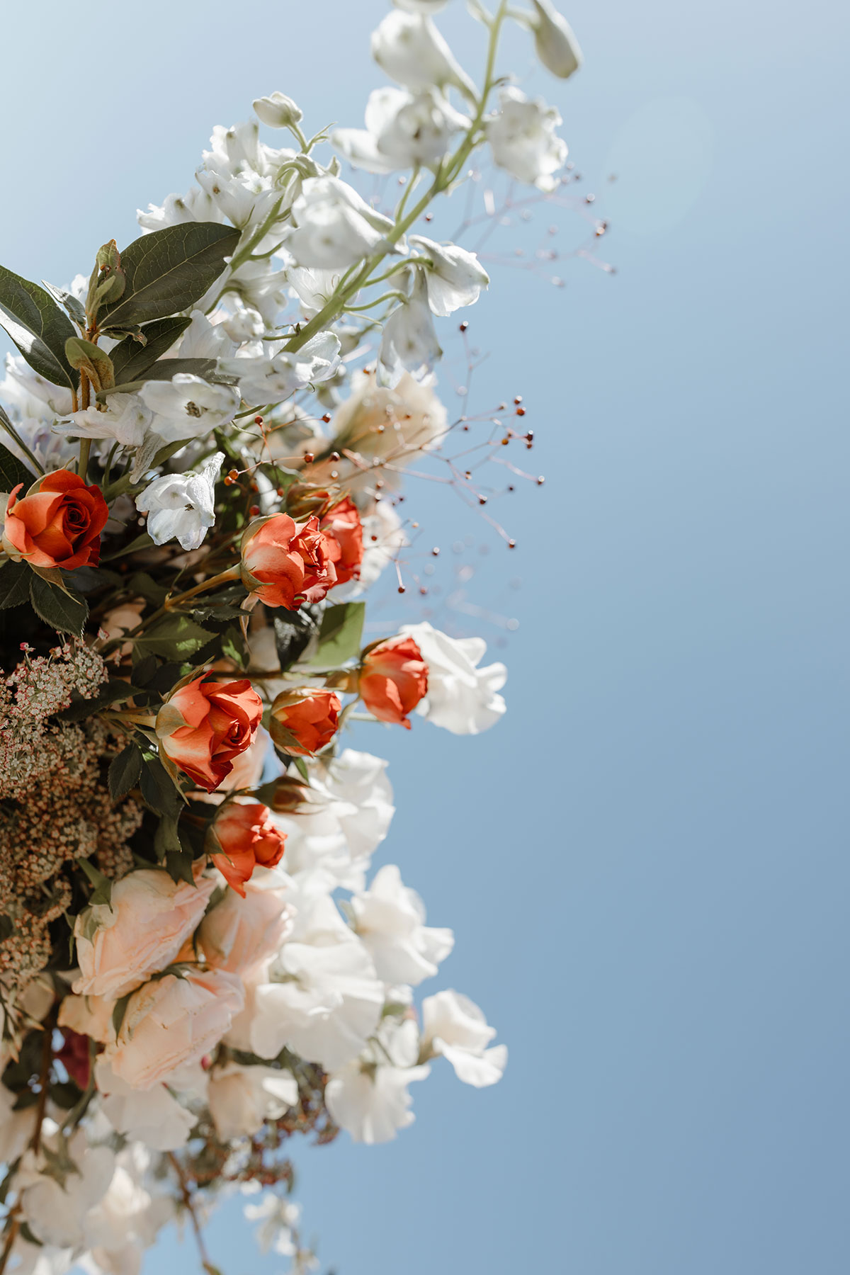 Floral arrangement against a blue sky backdrop