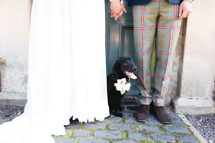 Bottom half of bride and groom holding hands with black spaniel wearing flowers on its collar at their feet