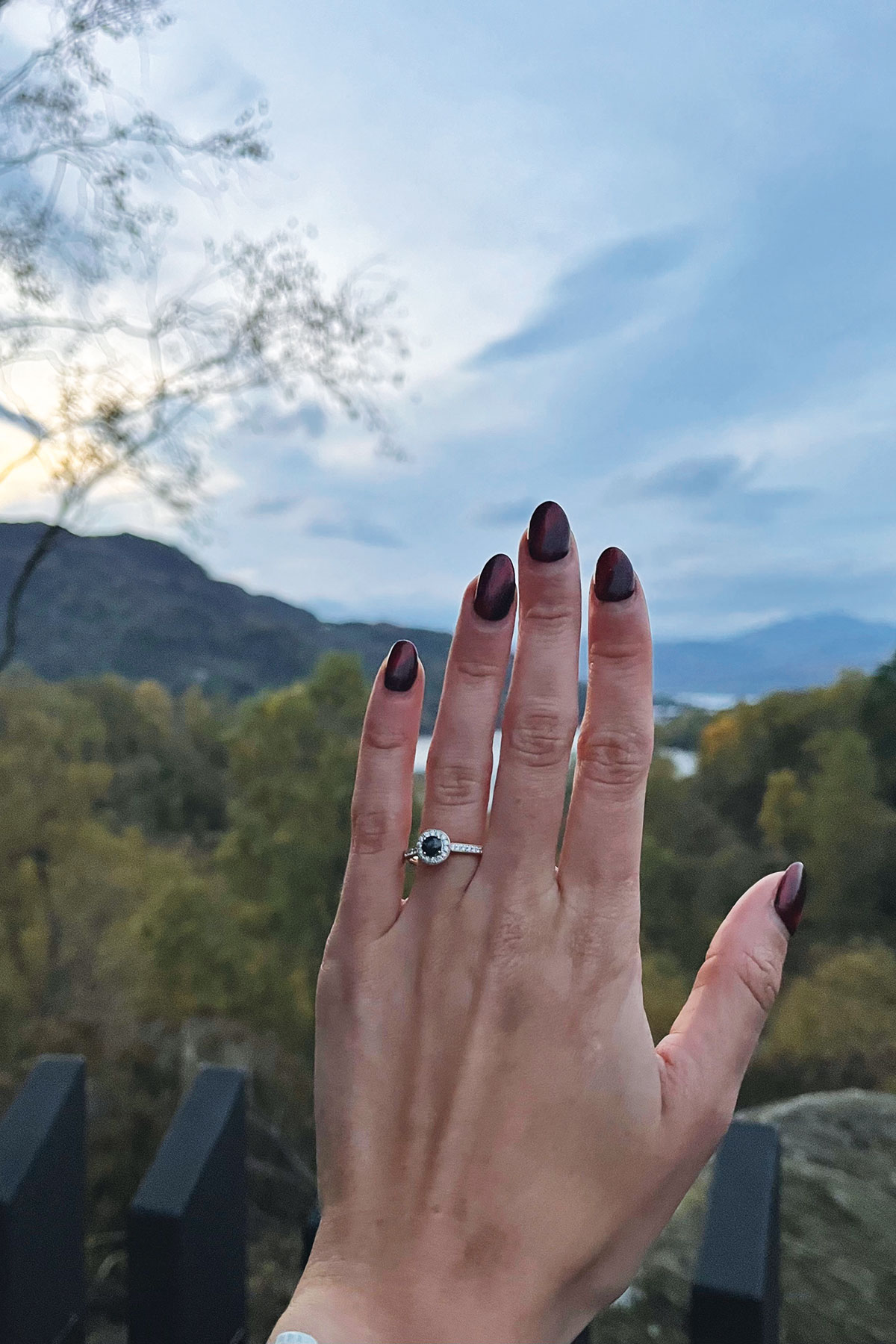 a hand wearing a diamond and coloured stone engagement ring with trees and hills in the background