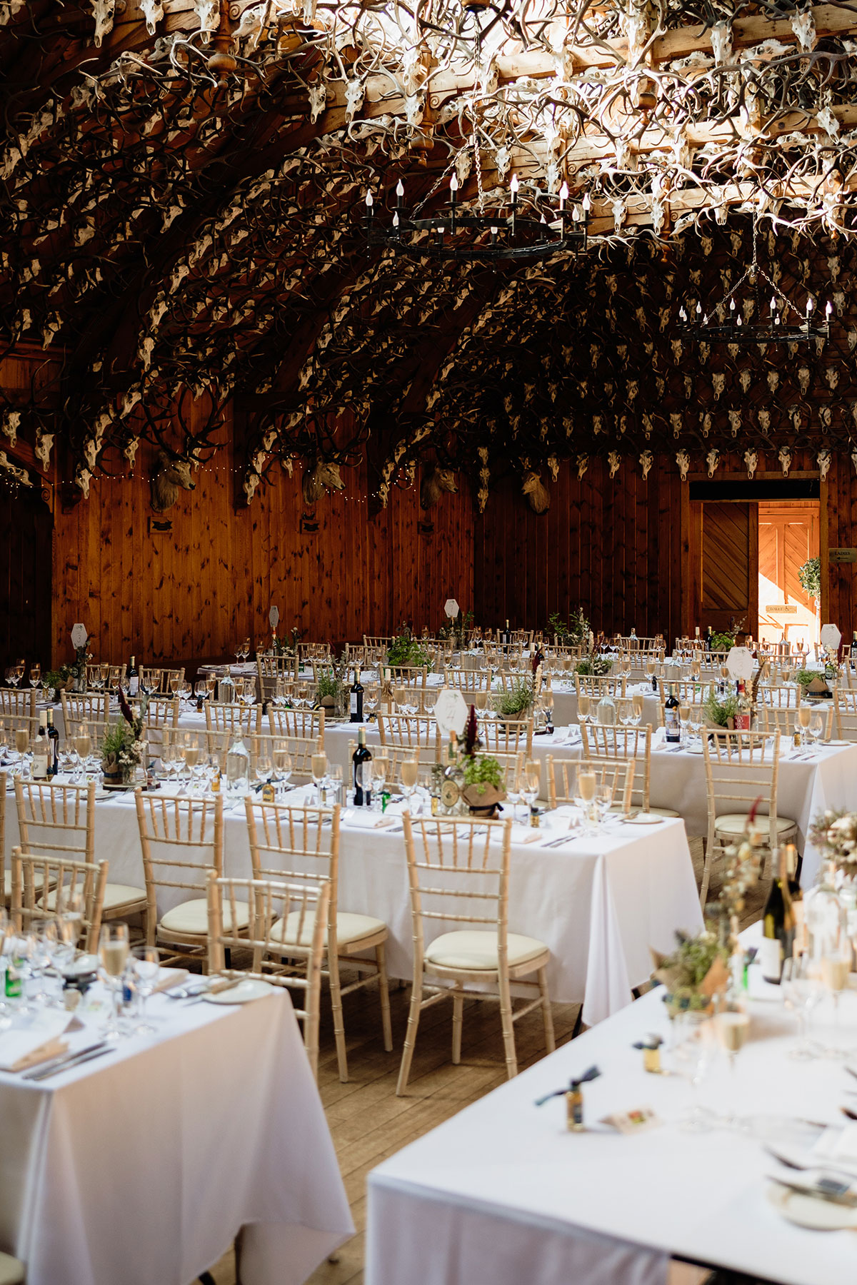 Wedding reception set up in the Great Hall at Mar Lodge Estate with antler-covered ceiling and elegant table décor