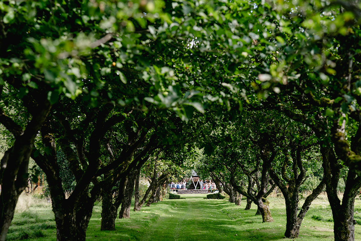 A long avenue of apple trees framing an outdoor ceremony area in the distance.