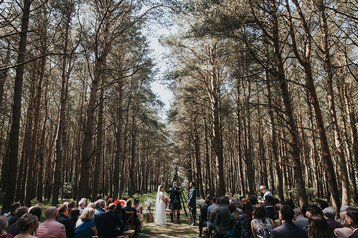 tall woodland trees tower over wedding guests as a humanist celebrant conducts a ceremony for a bride and groom at harvest moon