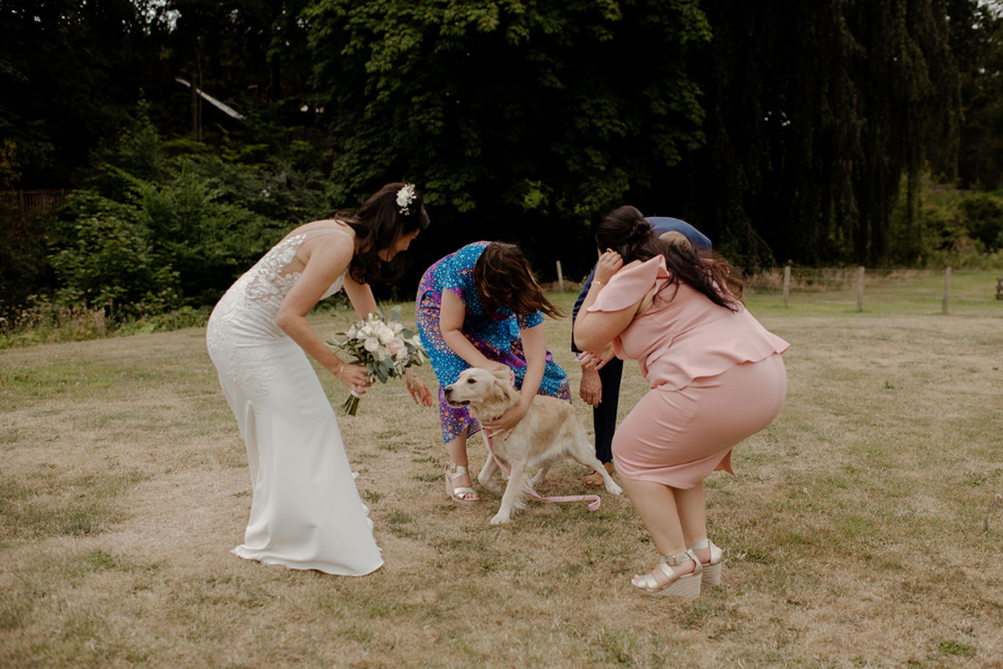 Family portrait of bride and groom, the bride's two daughters and golden retriever