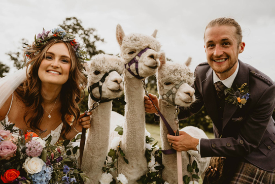The couple smile beside three llamas 