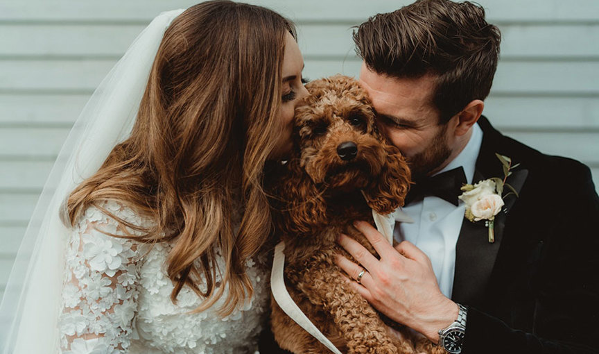 Two people wearing wedding attire kissing a brown curly haired dog 