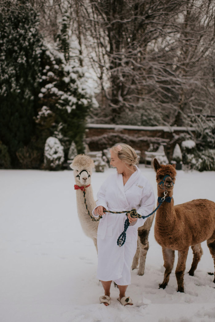 A woman in a white robe and slippers standing in snow with a white alpaca wearing a red bowtie on one side and a brown alpaca wearing a blue bowtie on the other side