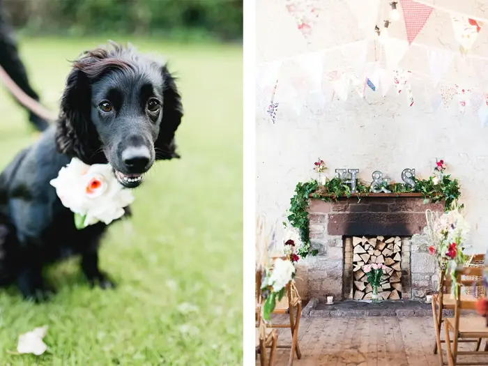 On left is black spaniel with flowers on its collar and on right is a fireplace in ceremony room with light up letters "H and S" on mantelpiece