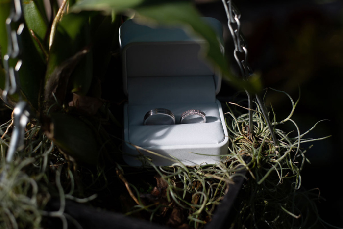 Wedding Rings In A Box On Grass