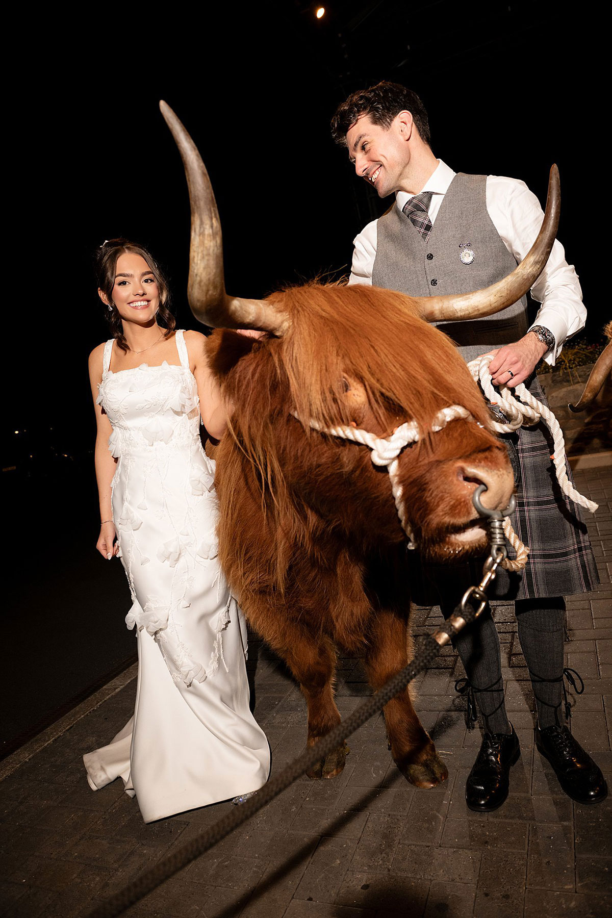 Bride and groom posing with a Highland cow at night during Old Course Hotel wedding celebration in St Andrews.