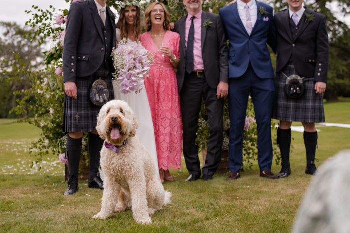 A Dog And Smiling Wedding Guests Pose For A Picture
