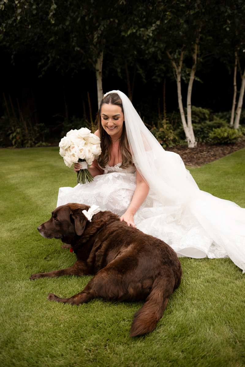 Bride sitting on the lawn with her chocolate Labrador Rolo during her summer wedding at Crossbasket Castle near Glasgow.