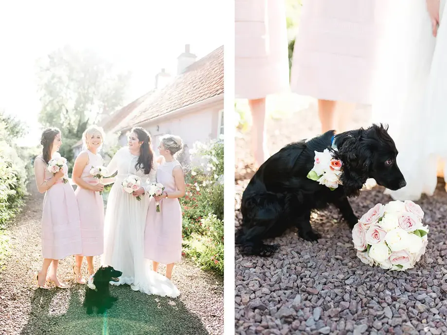 On left is bridal party wearing baby pink and holding bouquets smiling with small black dog in front and on right shows small black dog with flowers on its collar and bouquet in front