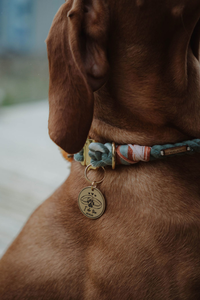 a close up of a dog collar that reads 'i do too'