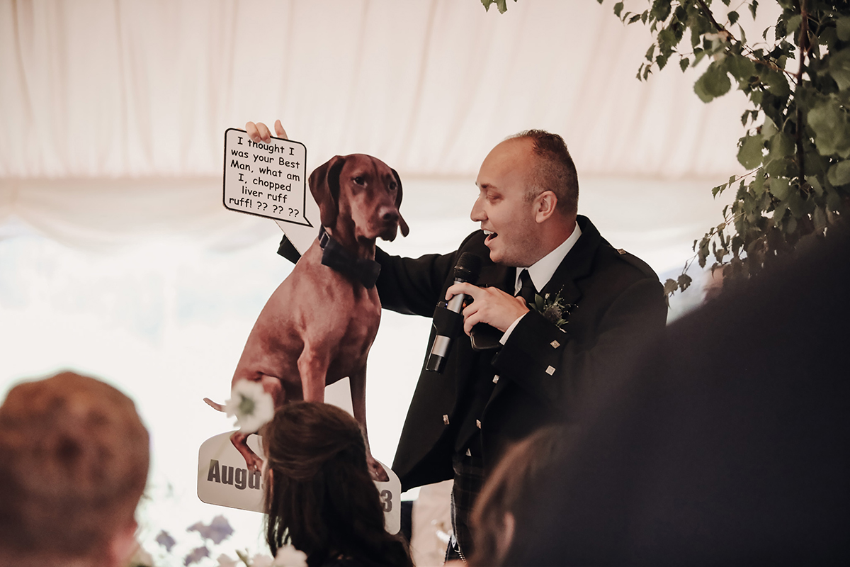 Person Holding A Cut Out Picture Of A Dog And A Microphone