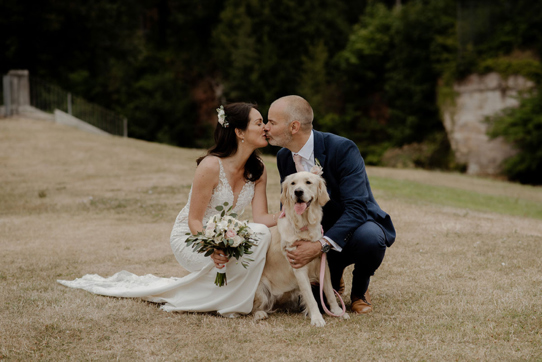 Newlyweds kiss in photograph with their golden retriever in between them