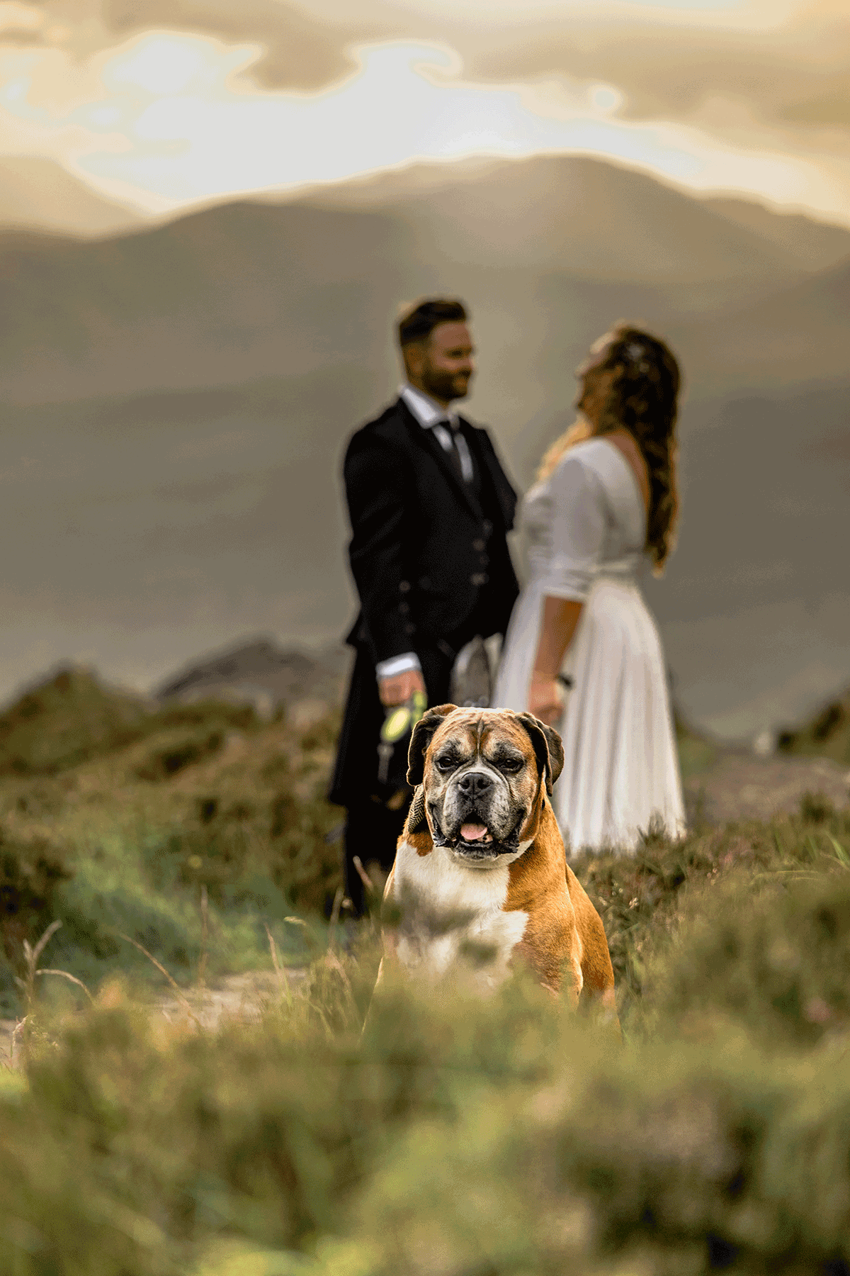 Boxer dog sits in the foreground while the newly married couple stand together against a backdrop of Scottish mountains