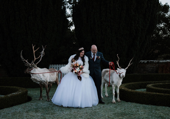 couple in wedding outfit with two reindeer 