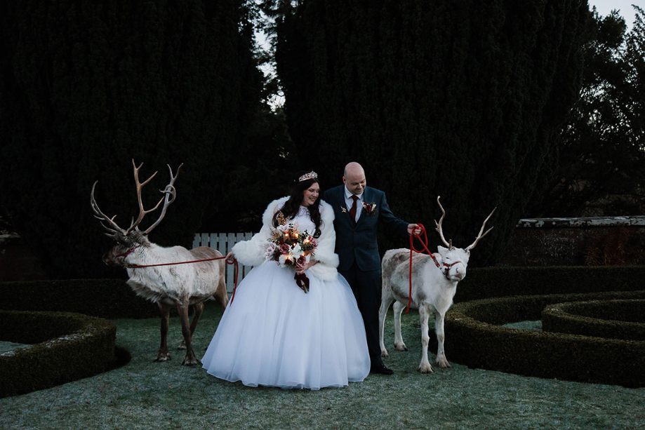couple in wedding outfit with two reindeer