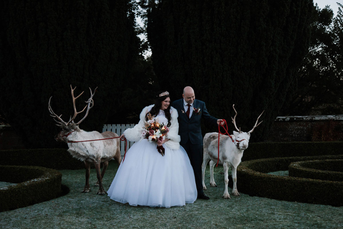 couple in wedding outfit with two reindeer 