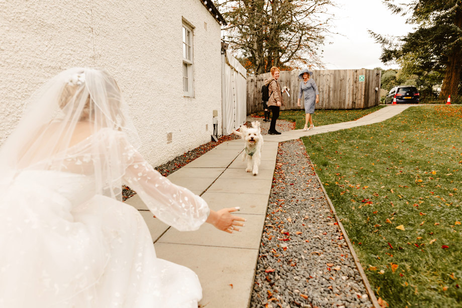  a bride crouches down with her arms outstretched as a small white dog runs towards her