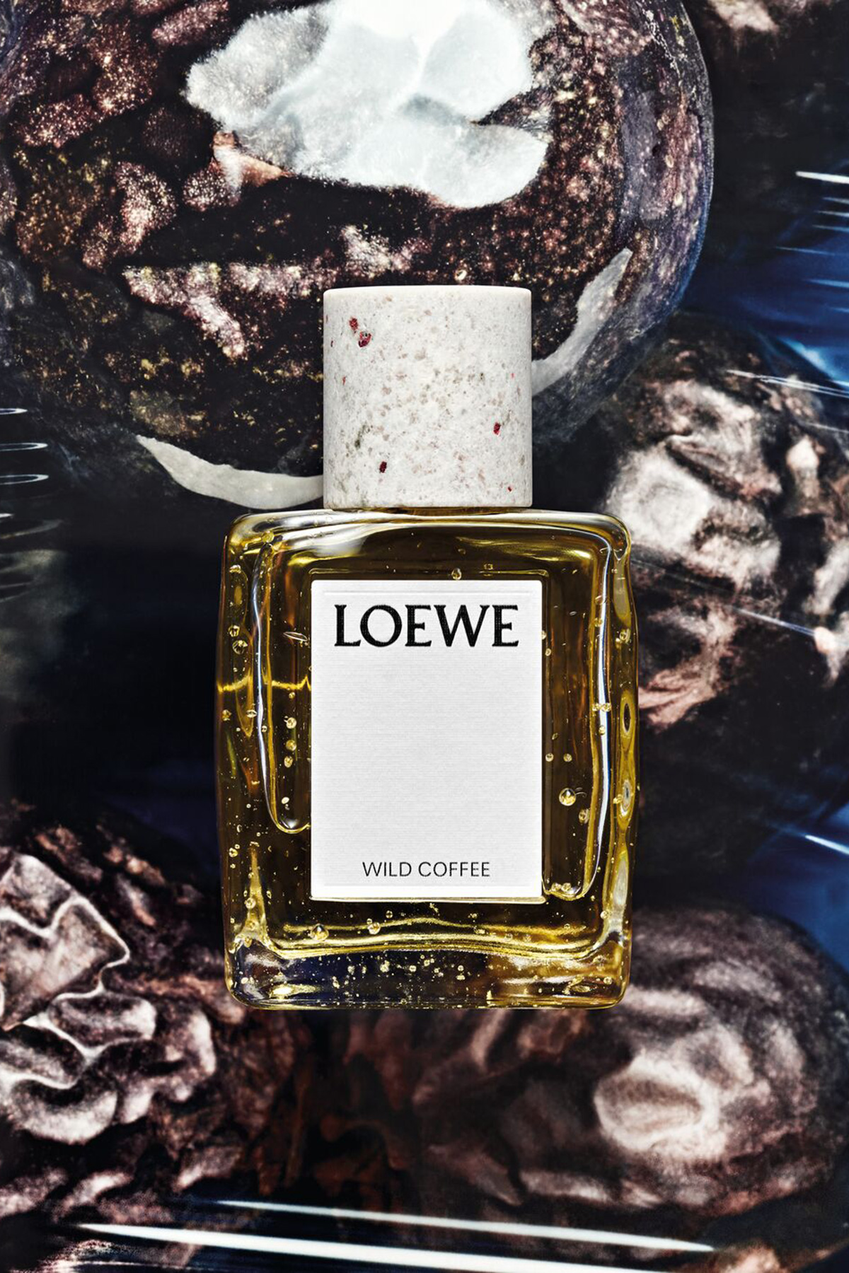 LOEWE Crafted Collection Wild Coffee fragrance bottle styled against a dark coffee-inspired backdrop.