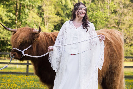 Bride in lace wedding dress with Harris Highlanders Highland cow in a countryside setting
