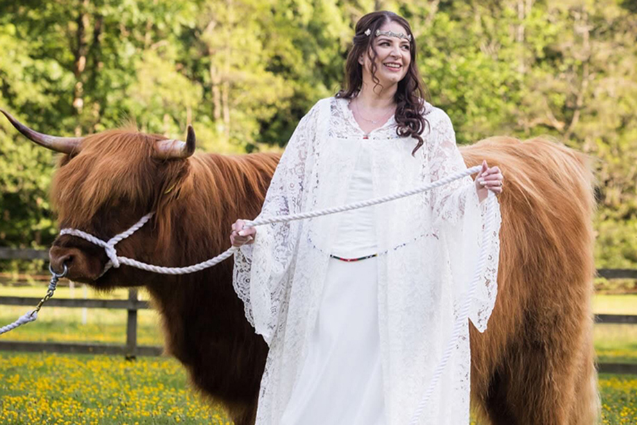 Bride in lace wedding dress with Harris Highlanders Highland cow in a countryside setting