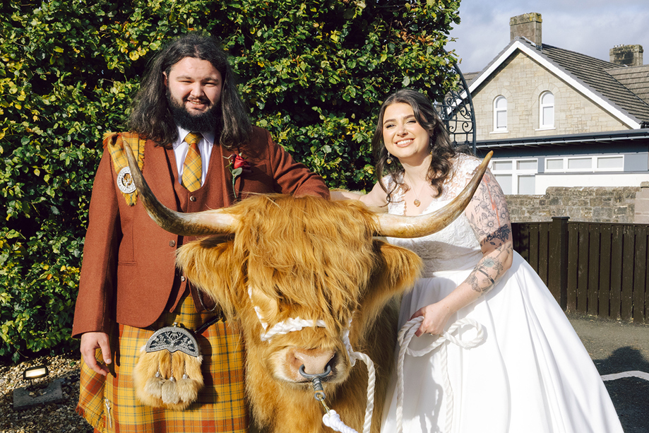 Scottish wedding couple posing with a Harris Highlanders Highland cow after their ceremony